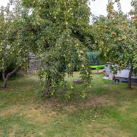 Apartament Ferienunterkunfte Wusterhusen