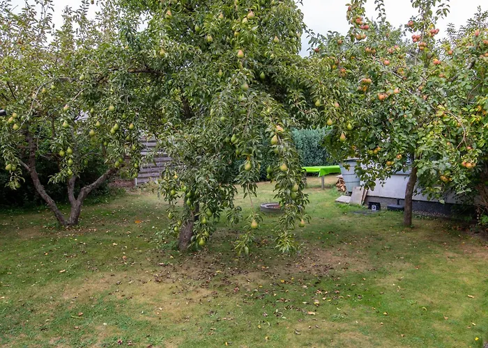 아파트 Ferienunterkunfte Wusterhusen